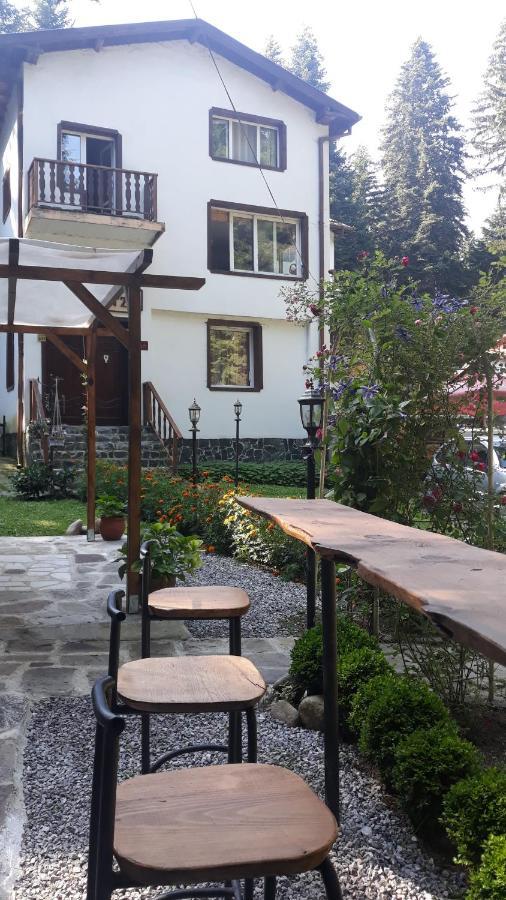 Villa Sveti Dimitar Borowez Exterior foto
